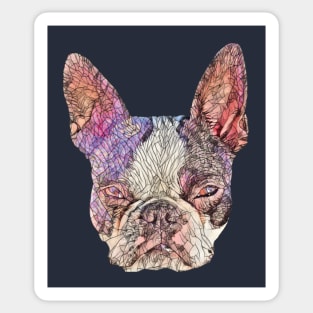 Boston Terrier Dog Sticker